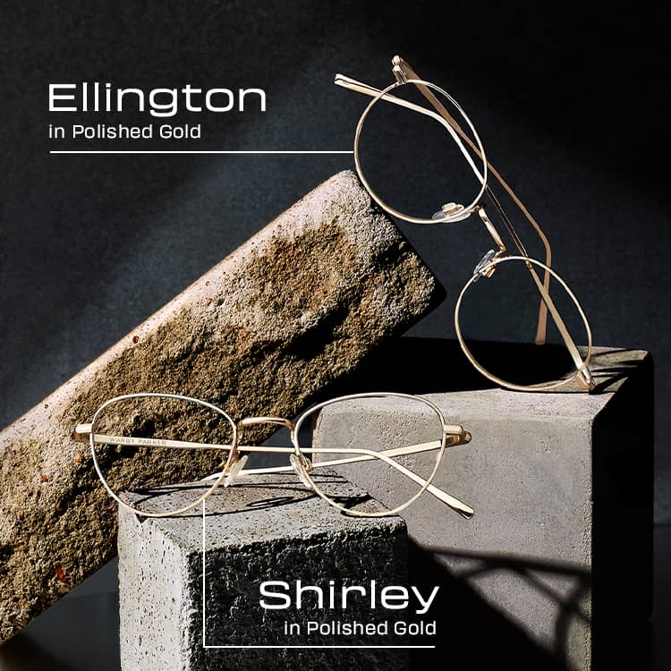 Titanium Standards Warby Parker